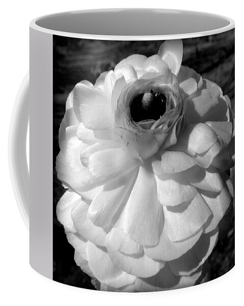 Ranunculus Flower Coffee Mug featuring the photograph even in gray I glow by Kim Galluzzo Wozniak