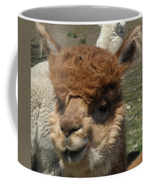 Alpaca Coffee Mug featuring the photograph Ewok by Kim Galluzzo Wozniak