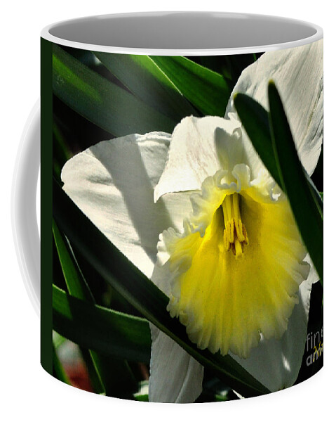 Nature Coffee Mug featuring the photograph Face the Sun by Nava Thompson