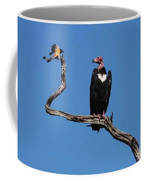 Vulture Coffee Mug featuring the photograph Face to Face by Fotosas Photography