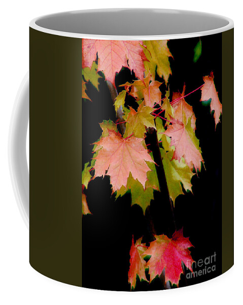 Leaf Coffee Mug featuring the photograph Fall Grandeur by Rory Siegel