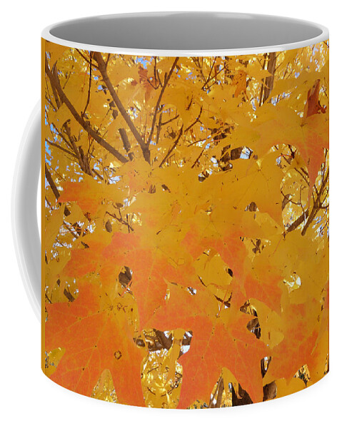 Fall Coffee Mug featuring the photograph Fall in New England by Kim Galluzzo Wozniak