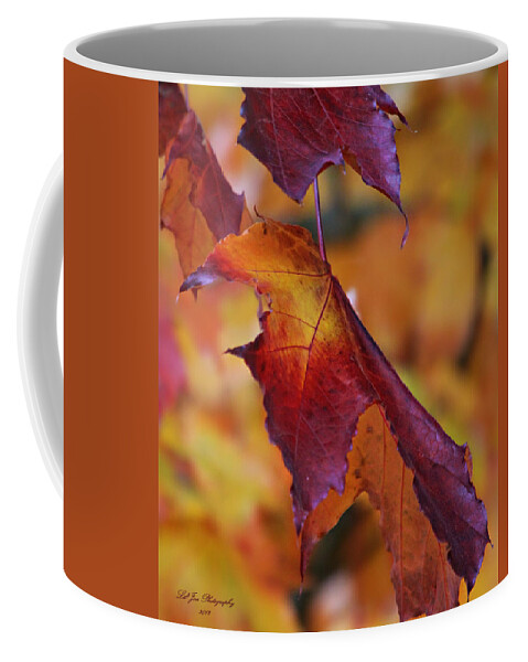 Autumn Coffee Mug featuring the photograph Fall Leaf by Jeanette C Landstrom