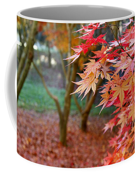Autumn Coffee Mug featuring the photograph Fall by Les Cunliffe