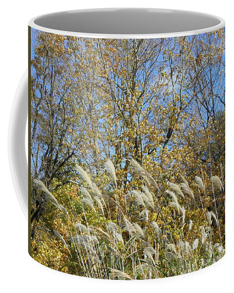 Fall Coffee Mug featuring the photograph Fall scape in Connecticut by Kim Galluzzo Wozniak