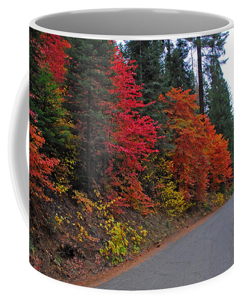 Sequoia National Park Coffee Mug featuring the photograph Fall's Splendor by Lynn Bauer