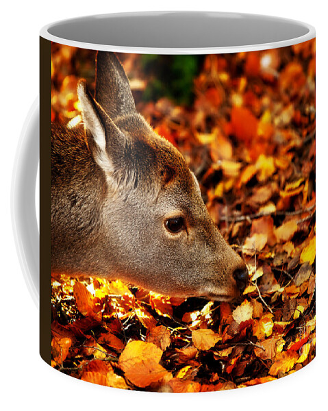 Fawn Coffee Mug featuring the photograph Fawn in Autumn by Simon Bratt