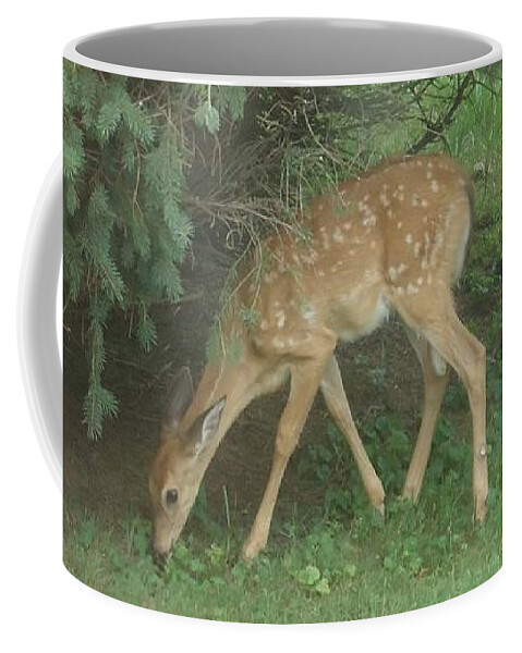 Fawn Coffee Mug featuring the photograph Fawn by Leslie Manley
