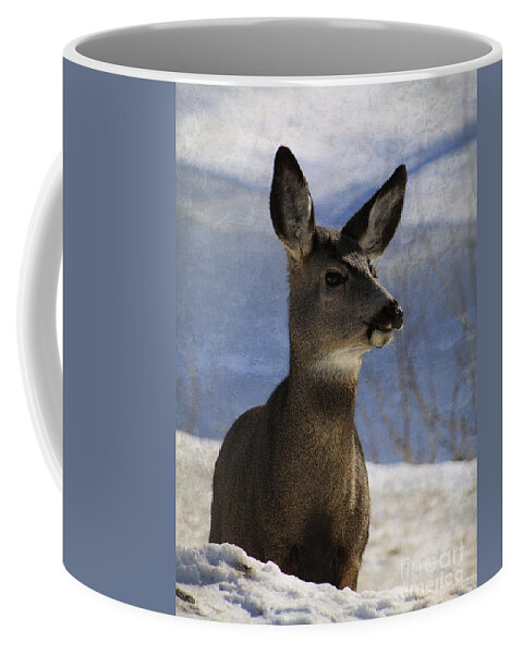 Deer Coffee Mug featuring the photograph Female Mule Deer by Alyce Taylor