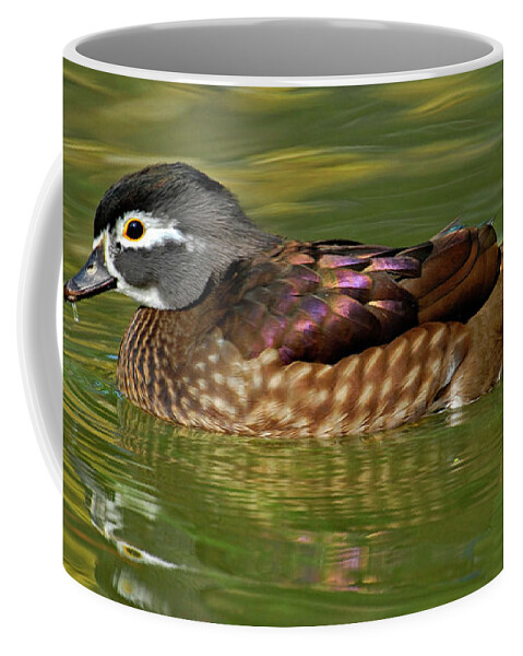 Female Wood Duck Coffee Mug featuring the photograph Female Wood Duck by Dave Mills