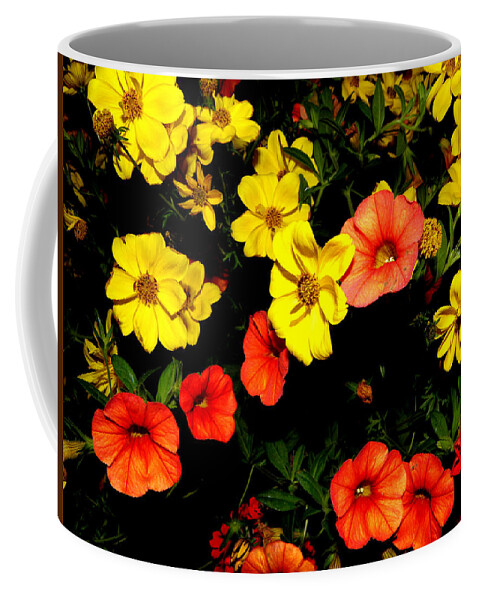 Flowers Coffee Mug featuring the photograph Fire Colors by Kim Galluzzo Wozniak