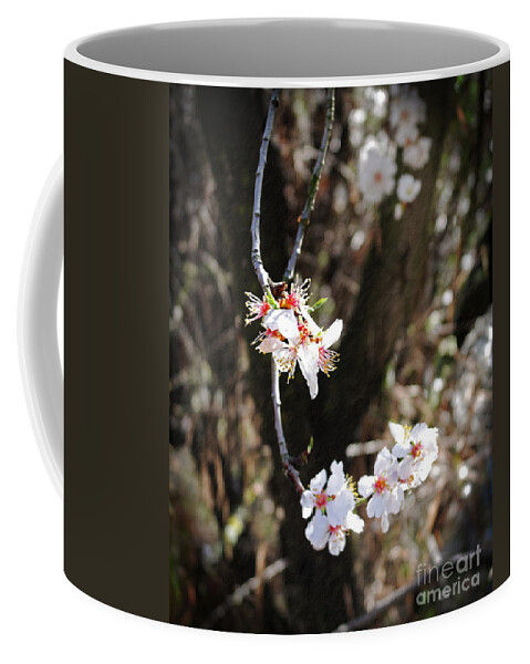 Altered Coffee Mug featuring the photograph First Sakura Branch by Laura Iverson