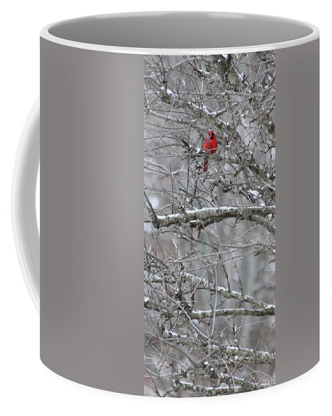 Snow Coffee Mug featuring the photograph First Snow Fall by Kume Bryant