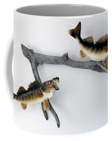 Animals Coffee Mug featuring the photograph Fish Mount Set 03 A by Thomas Woolworth