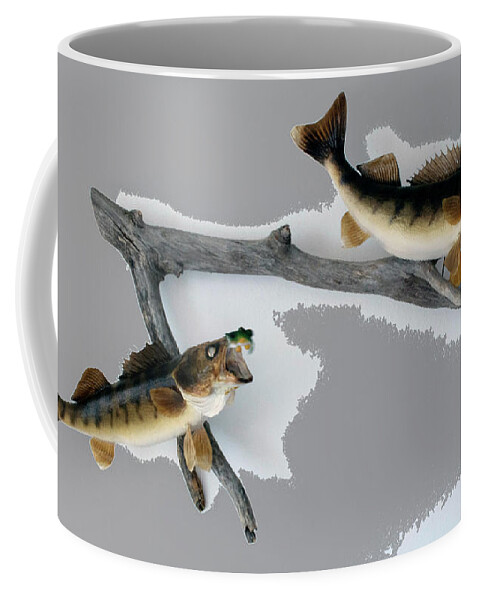 Animals Coffee Mug featuring the photograph Fish Mount Set 03 C by Thomas Woolworth