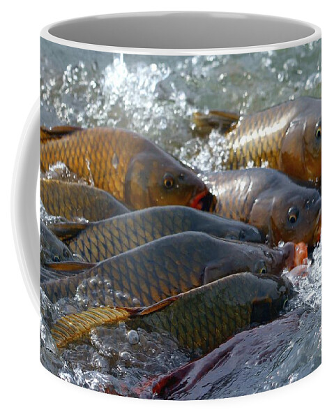 Fish Coffee Mug featuring the photograph Fishing and Hunting by Elizabeth Winter