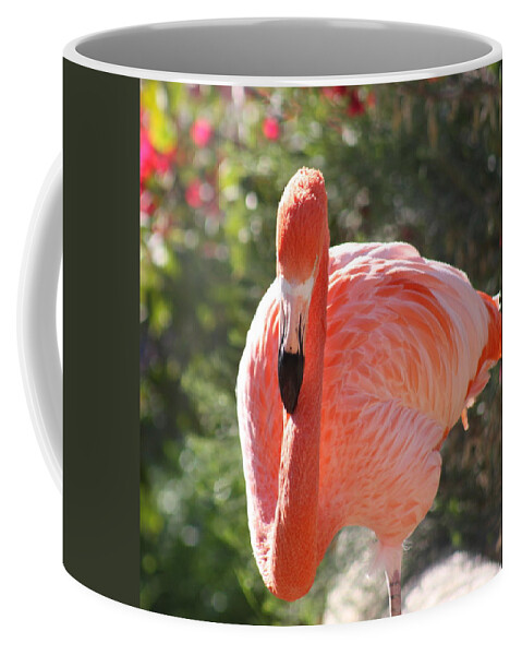 Flamingo Coffee Mug featuring the photograph Flamingo by Kim Galluzzo Wozniak