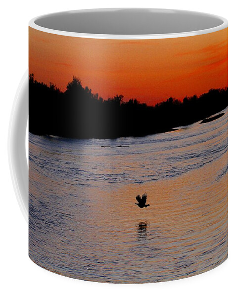 Sunset Coffee Mug featuring the photograph Flight of the Turkey by Elizabeth Winter