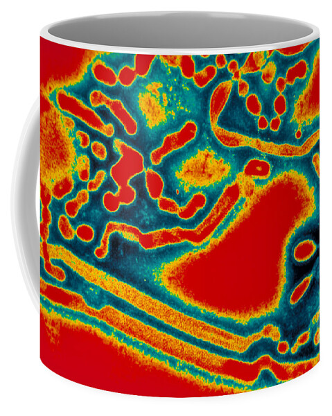 Influenza A Coffee Mug featuring the photograph Flu Virus by Science Source