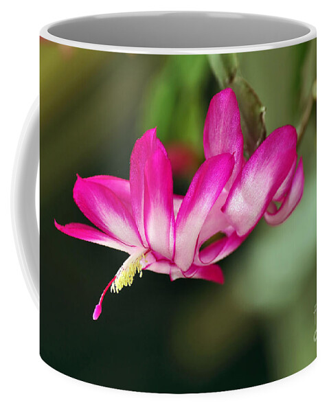 Flying Cactus Flower Coffee Mug featuring the photograph Flying Cactus Flower by Kaye Menner