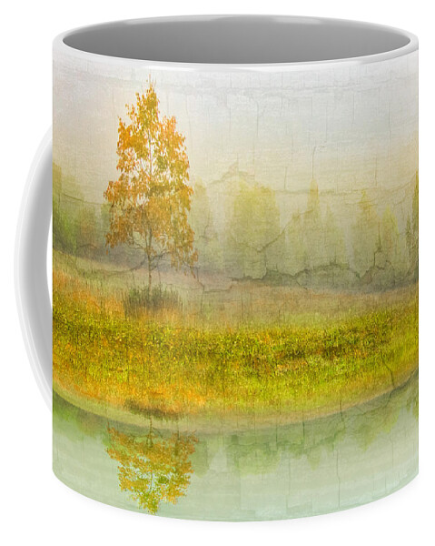 Appalachia Coffee Mug featuring the photograph Foggy Meadow by Debra and Dave Vanderlaan