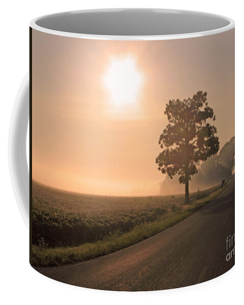 Sunrise Coffee Mug featuring the photograph Foggy Sunrise on Soybean Field by Jack Schultz
