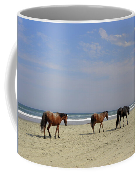 Wild Spanish Mustangs Coffee Mug featuring the photograph Follow The Leader by Kim Galluzzo