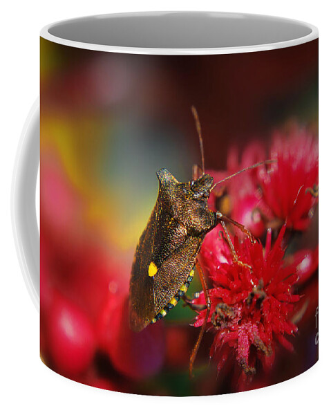 Yhun Suarez Coffee Mug featuring the photograph Forest Bug - Pentatoma Rufipes by Yhun Suarez