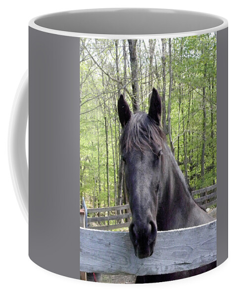 Friesian Horse Coffee Mug featuring the photograph Friesian alert by Kim Galluzzo Wozniak