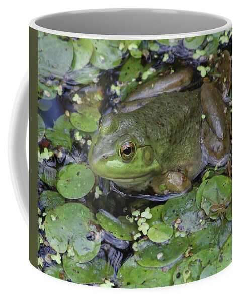 Frog Coffee Mug featuring the photograph Frog with Spider by Doris Potter