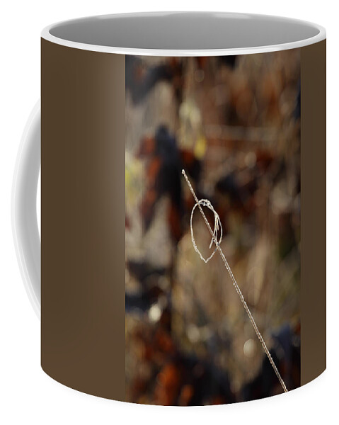 Season Coffee Mug featuring the photograph Frost covered grass by Ulrich Kunst And Bettina Scheidulin