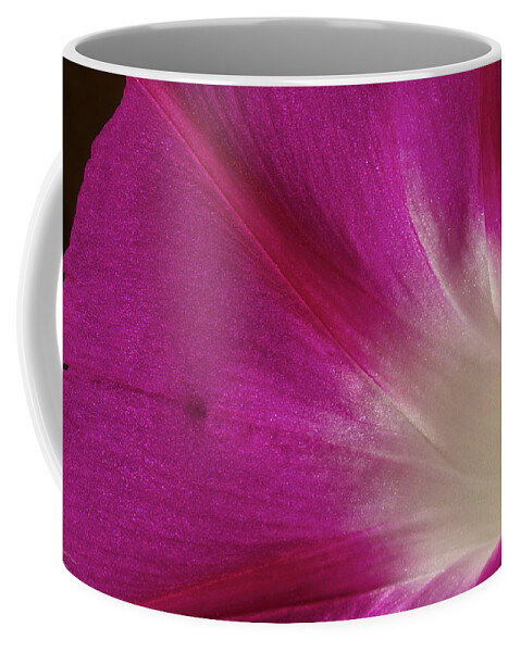Morning Glory Coffee Mug featuring the photograph Fuchsia Morning Glory by Phyllis Denton