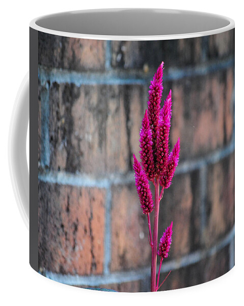 Autumn Coffee Mug featuring the photograph Fuchsia Plant I by Jai Johnson