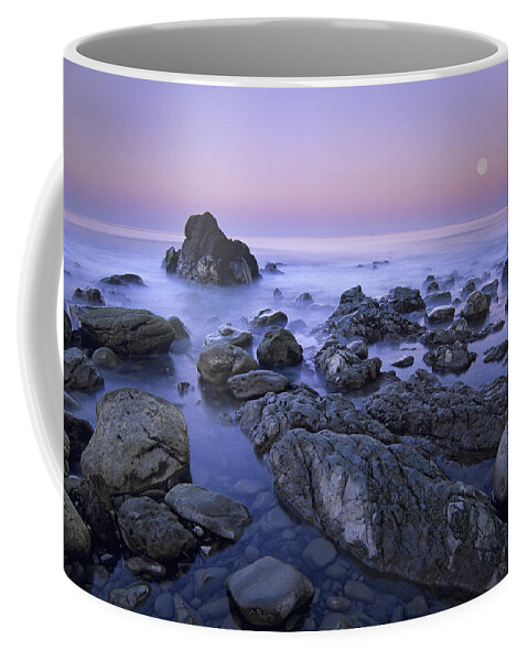 00175770 Coffee Mug featuring the photograph Full Moon Over Boulders At El Pescador by Tim Fitzharris