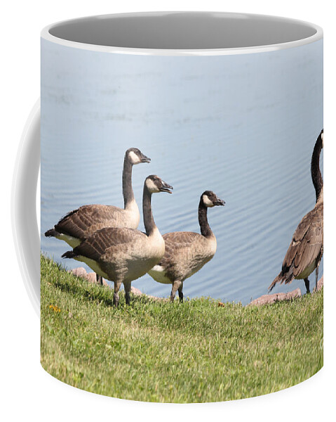 Goose Coffee Mug featuring the photograph Geese by Lori Tordsen