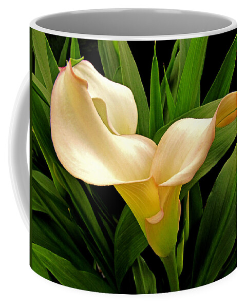 Nature Coffee Mug featuring the photograph Gentle Blush II by Debbie Portwood