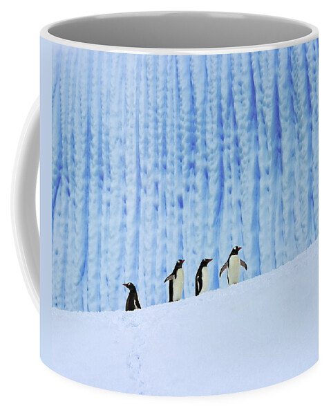 Bird Coffee Mug featuring the photograph Gentoos on Ice by Tony Beck