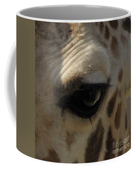 Giraffe Eye Coffee Mug featuring the photograph Giraffe eye by Kim Galluzzo Wozniak
