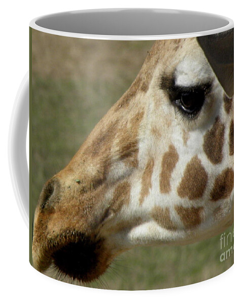 Giraffe Coffee Mug featuring the photograph Giraffe Facial Shot by Kim Galluzzo