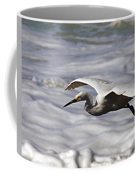 Egret Coffee Mug featuring the photograph Gliding Snowy Egret by Joe Schofield