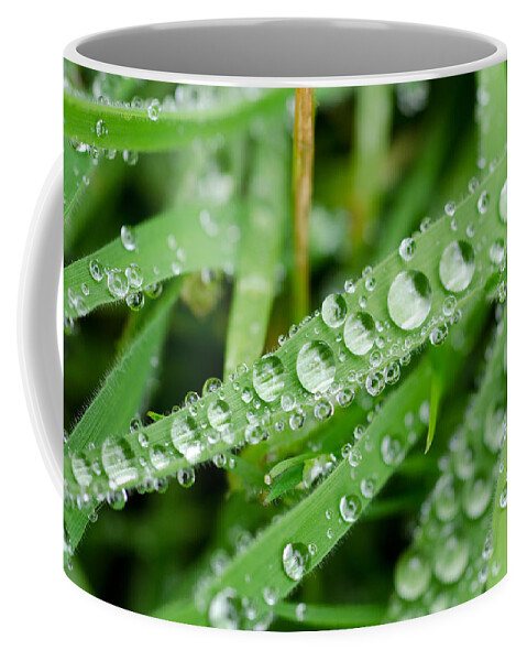 Raindrops Coffee Mug featuring the photograph Glistening Grass by Margaret Pitcher