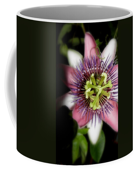 Passion Flower Coffee Mug featuring the photograph Glowing In Passion by Kim Galluzzo