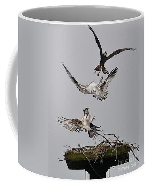 Osprey Coffee Mug featuring the photograph Go Away by Craig Leaper