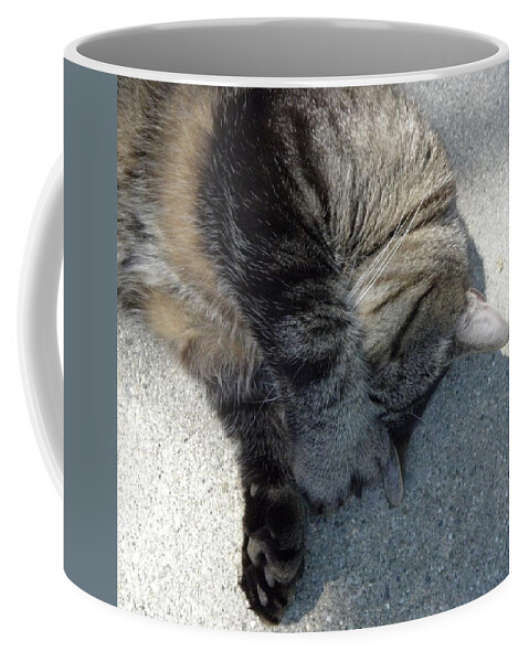 Cat Coffee Mug featuring the photograph Go Away by Kim Galluzzo Wozniak