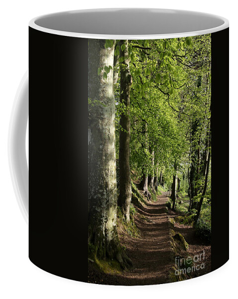 Spring Coffee Mug featuring the photograph Going For A Walk by Christiane Schulze Art And Photography
