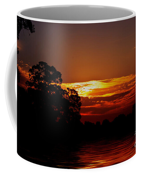 Landscape Coffee Mug featuring the photograph Golden Pond by Ms Judi