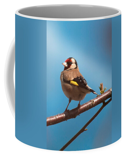 Bird Coffee Mug featuring the photograph Goldfinch by Shirley Mitchell