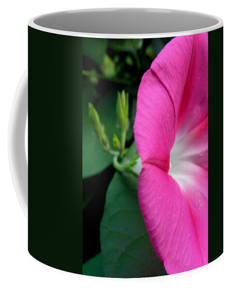Pink Coffee Mug featuring the photograph Good Morning Pink by Kim Galluzzo
