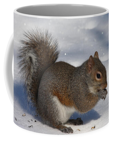 Gray Squirrel Coffee Mug featuring the photograph Gray Squirrel On Snow by Daniel Reed