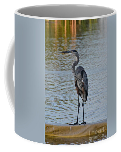 Bird Coffee Mug featuring the photograph Great Blue Heron by Carol Bradley